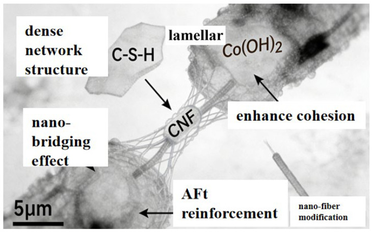 Figure 19