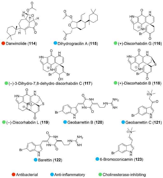 Figure 13