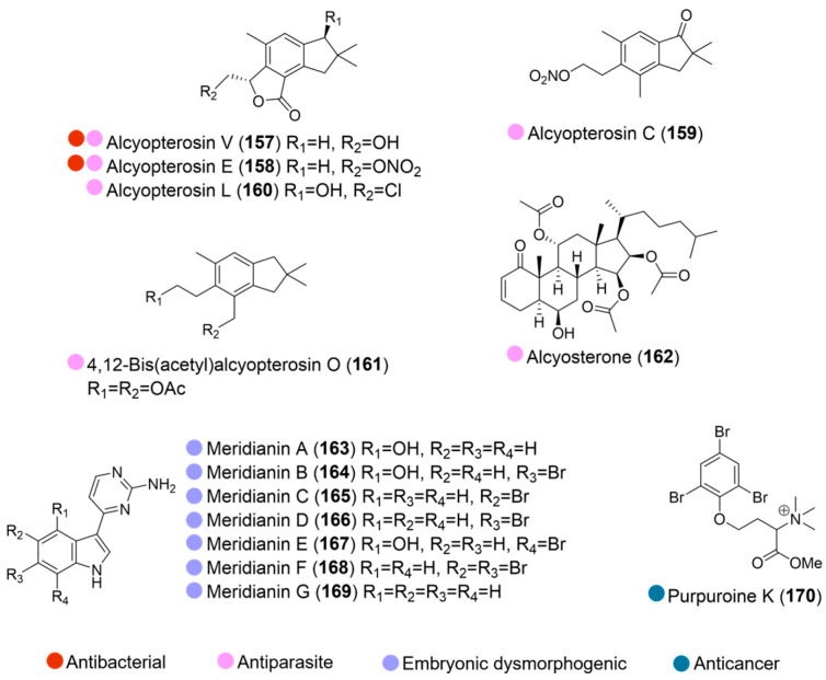 Figure 17