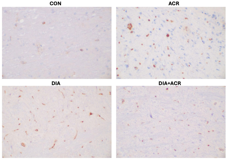 Figure 13