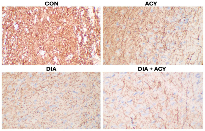 Figure 16