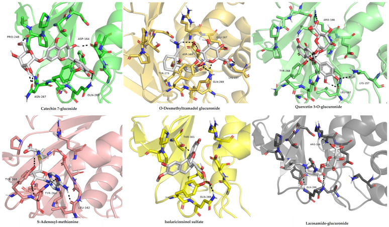 Figure 6
