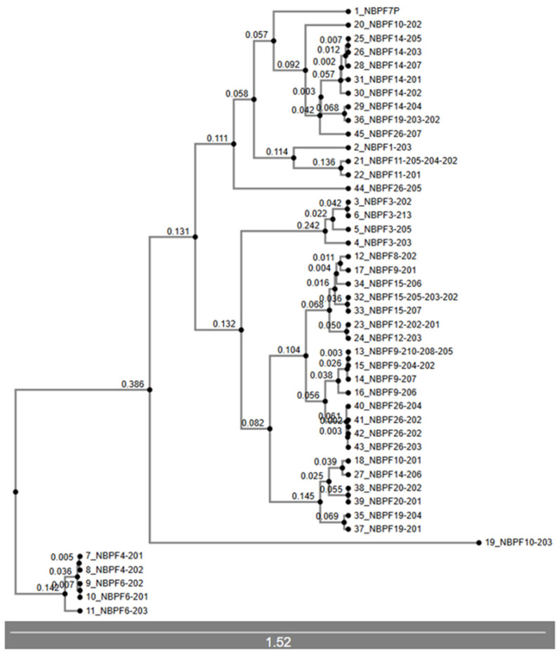 Figure 7