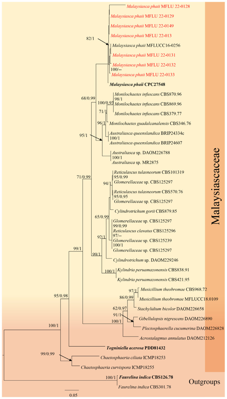 Figure 10