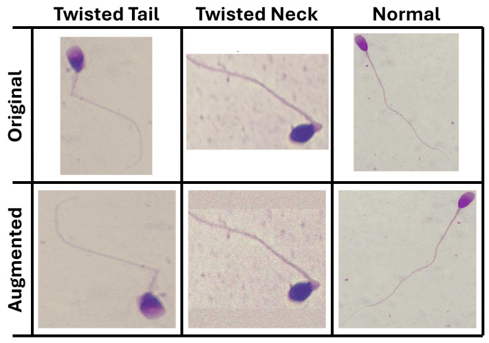 Figure 5