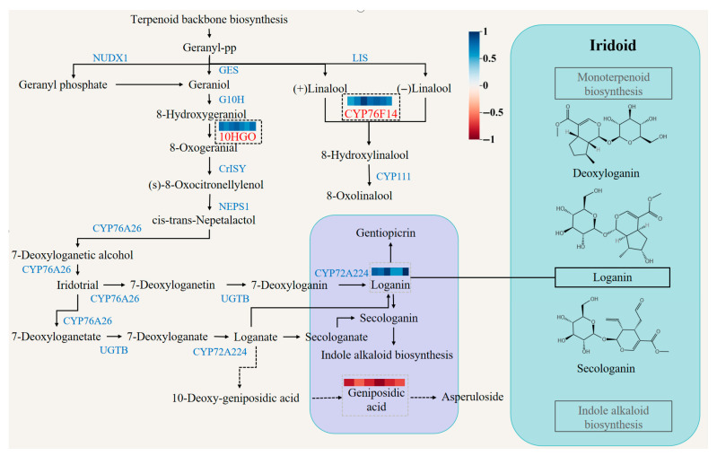Figure 7