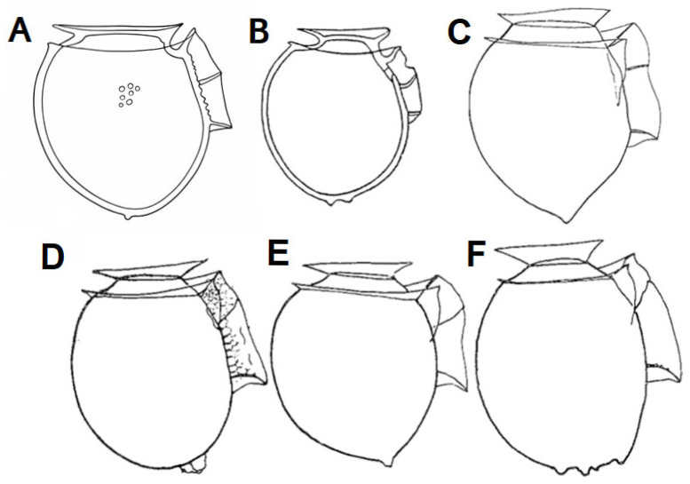 Figure 7