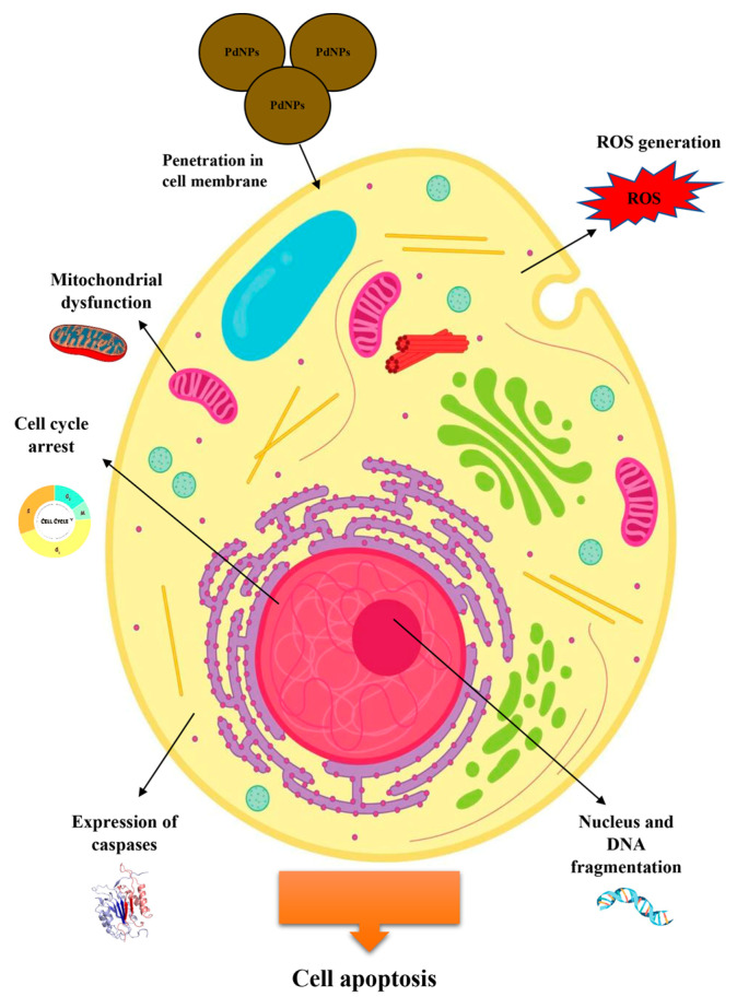 Figure 5