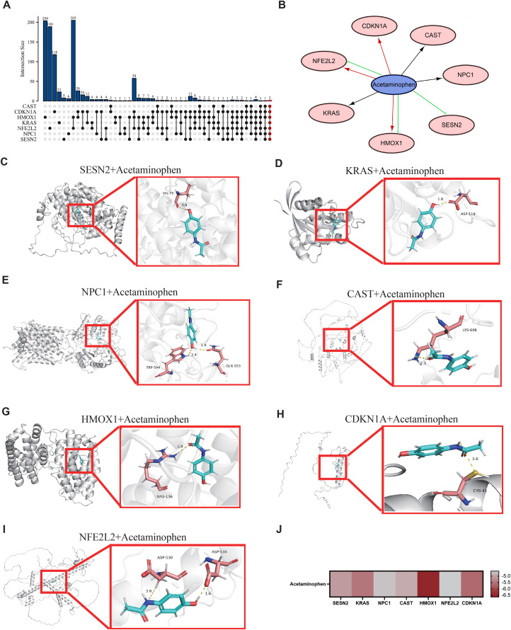 Fig 6