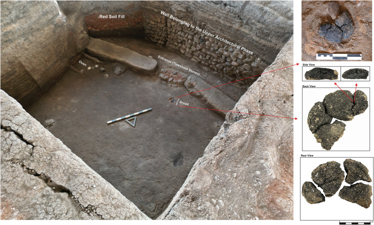Fig 3