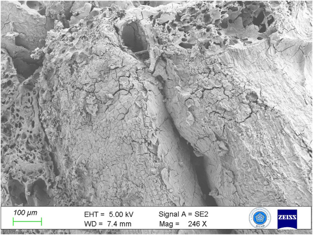 Fig 8