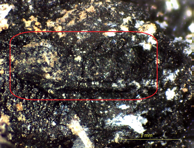 Fig 10