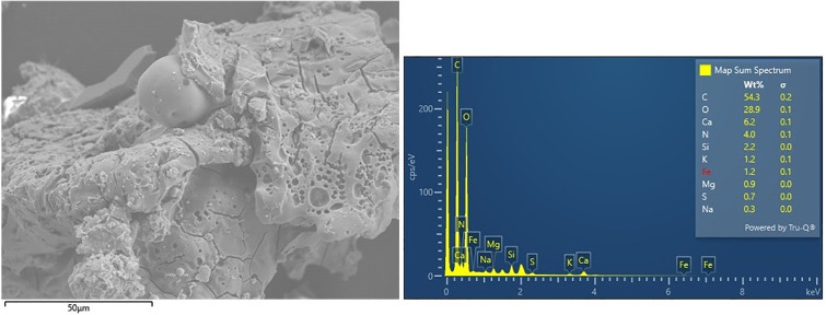 Fig 12