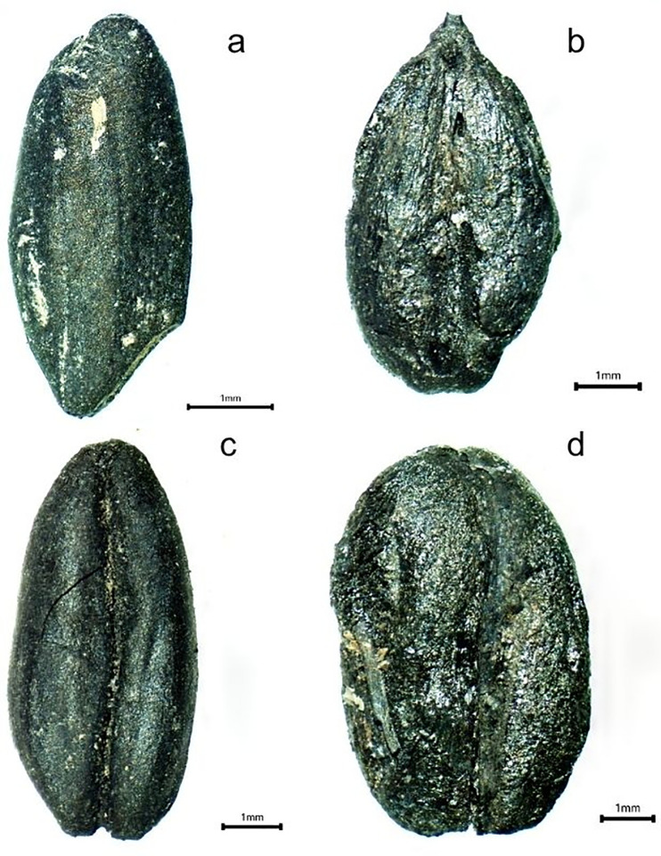 Fig 17