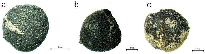 Fig 18