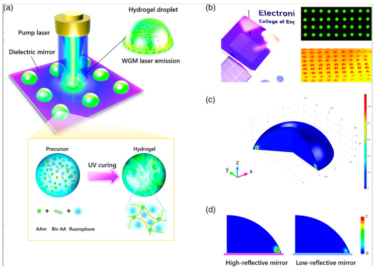 Figure 12