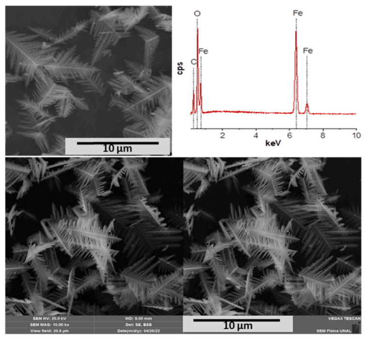 Figure 9