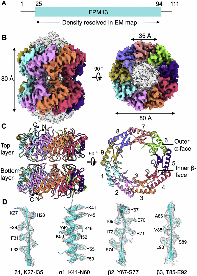 Fig 2