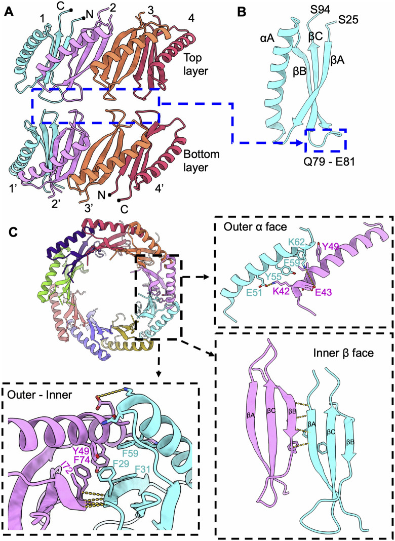 Fig 3