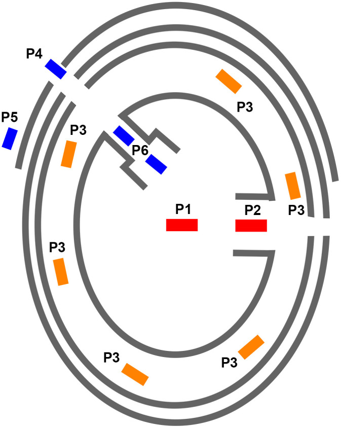 Fig 2