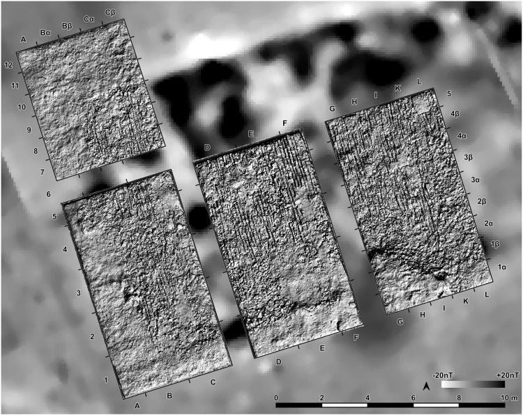 Fig 12