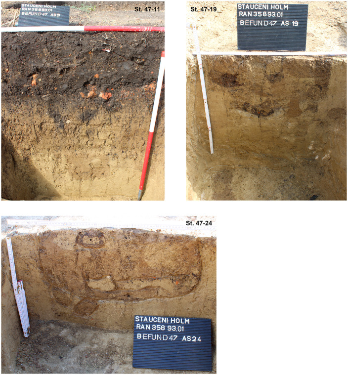 Fig 21