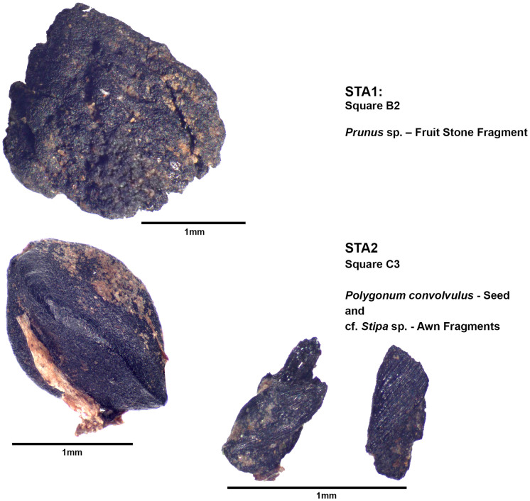 Fig 23