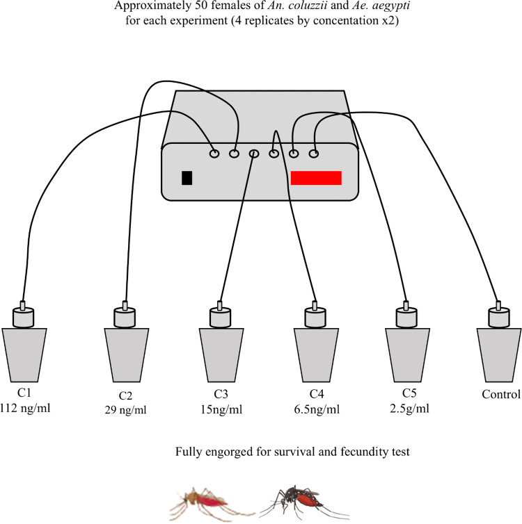 Fig 1