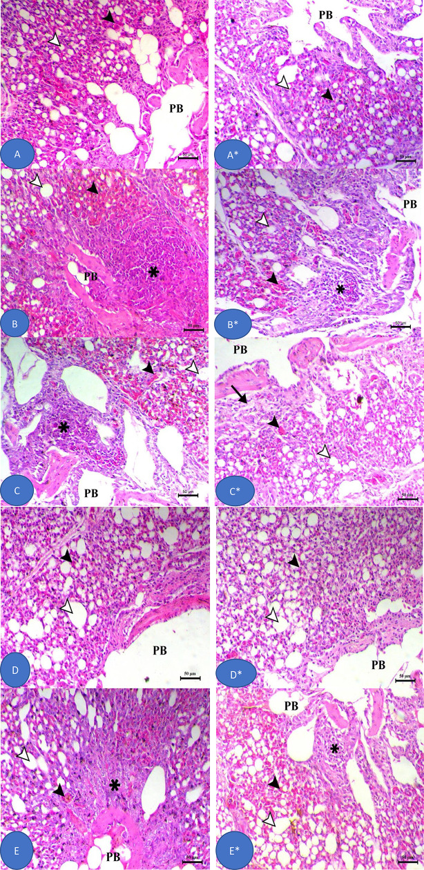 Fig 8