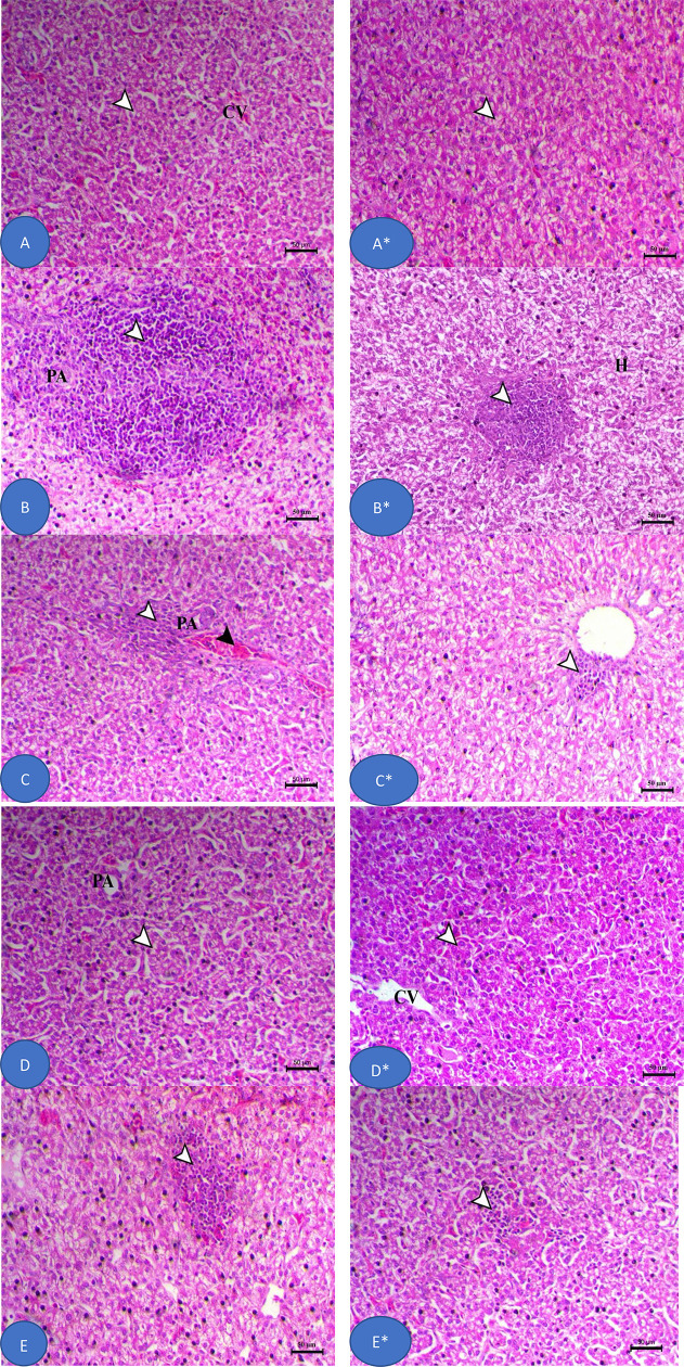 Fig 9