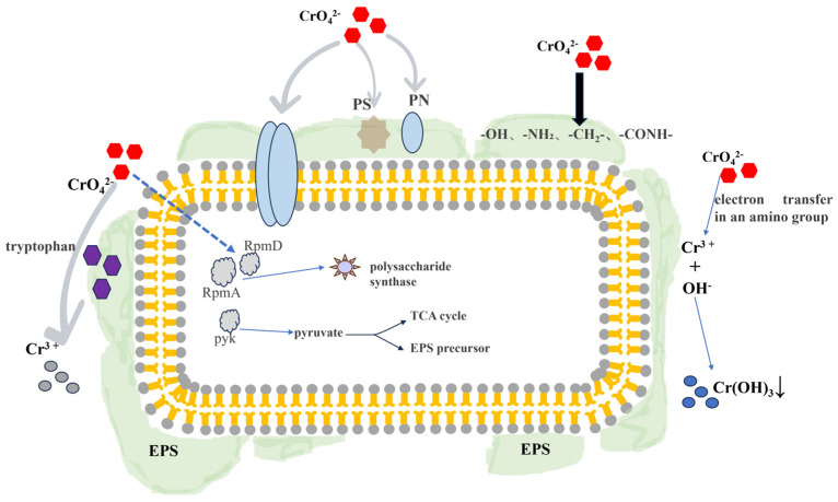 Figure 10
