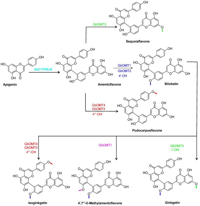 Figure 16
