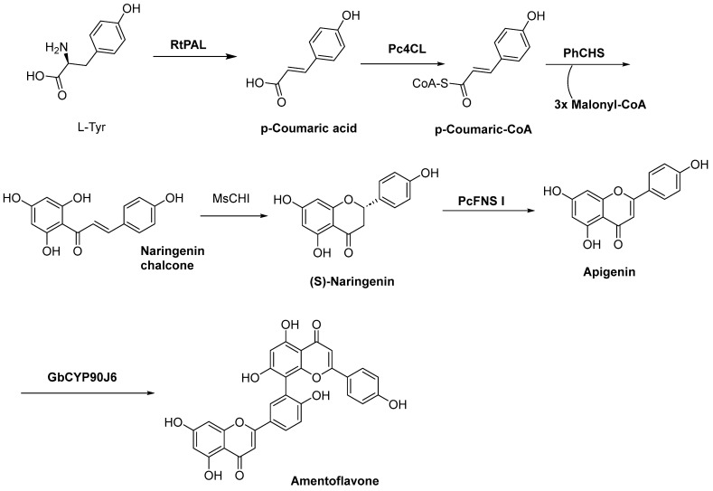 Figure 17
