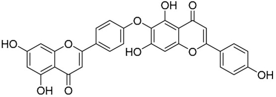 Figure 21