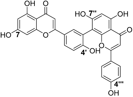 Figure 23