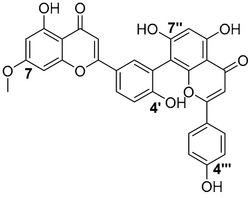 Figure 24