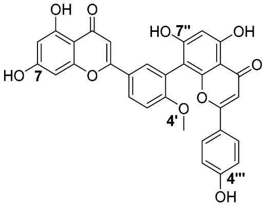 Figure 25