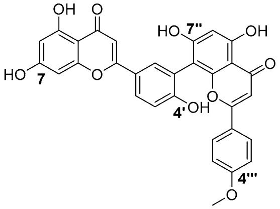 Figure 26