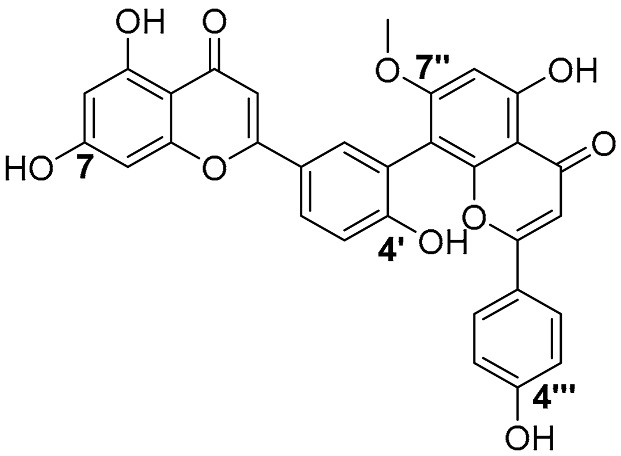 Figure 27