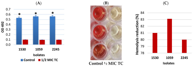 Figure 5
