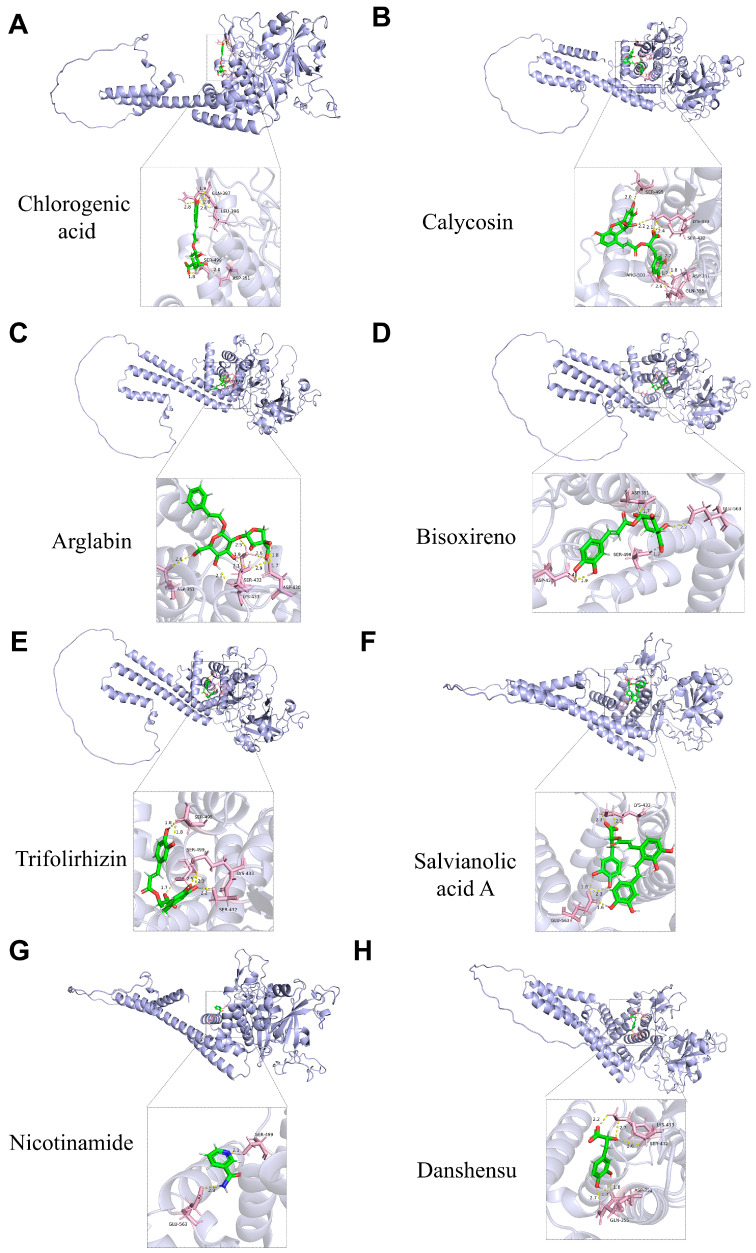 Figure 11