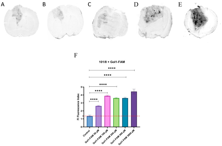 Figure 10