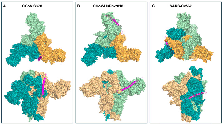 Figure 6