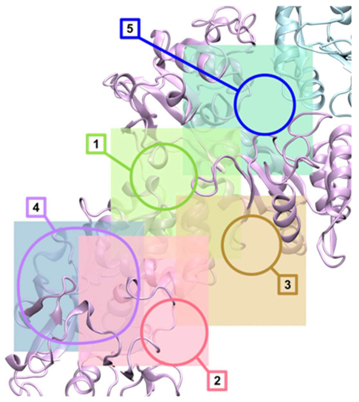 Figure 9