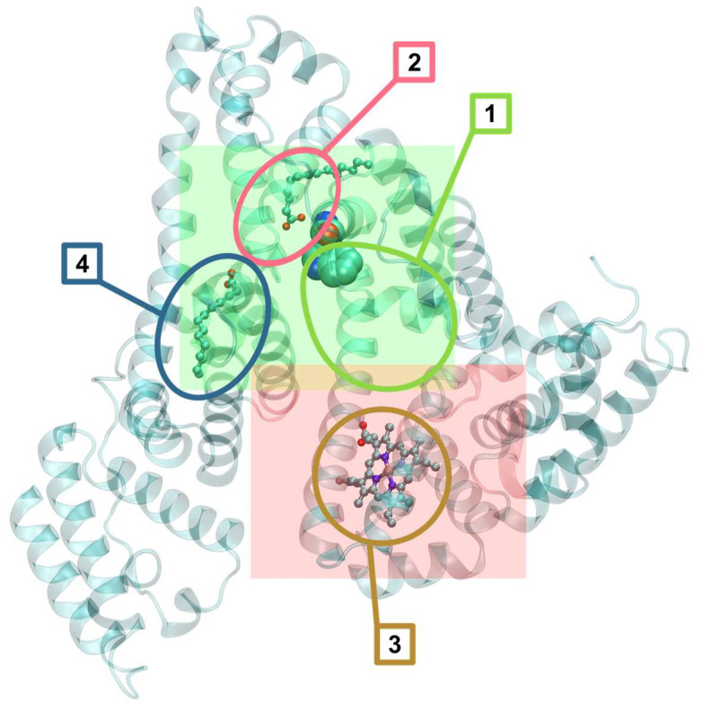 Figure 14