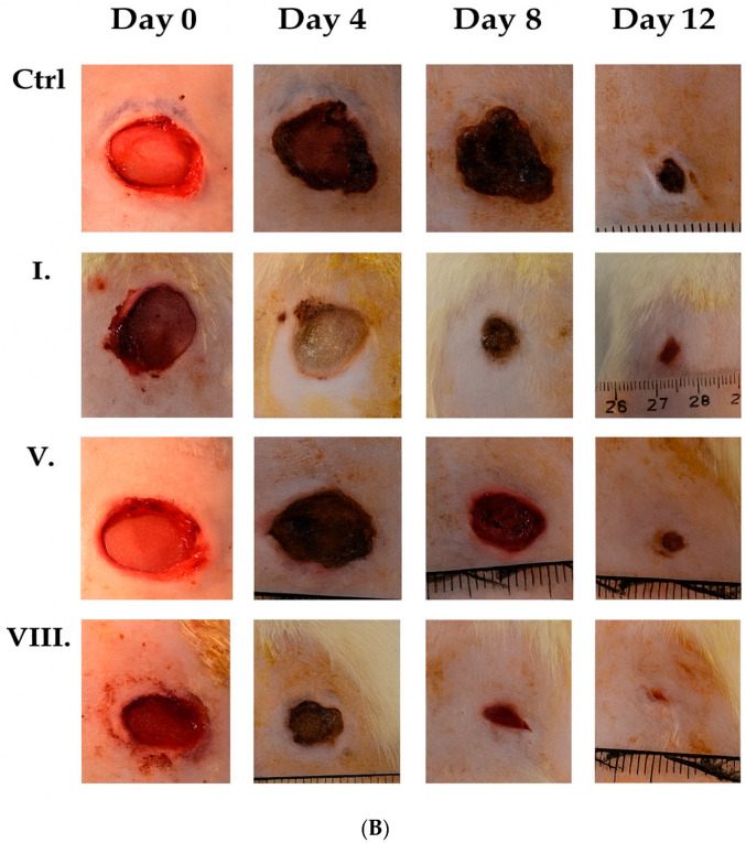 Figure 10
