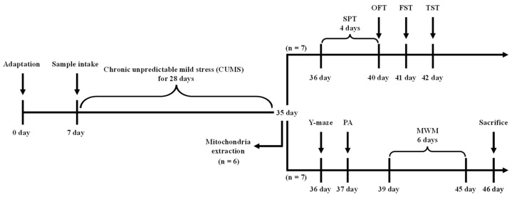 Figure 11