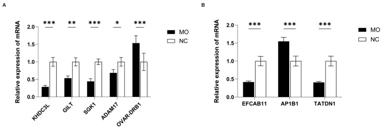 Figure 11