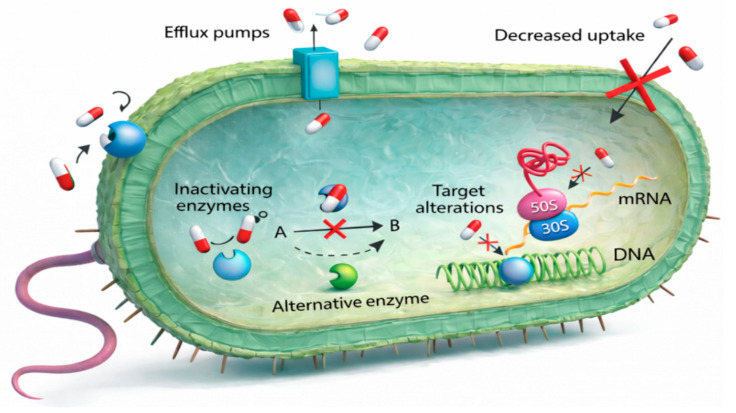 Figure 10
