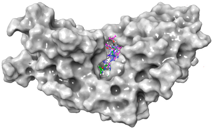 Figure 7